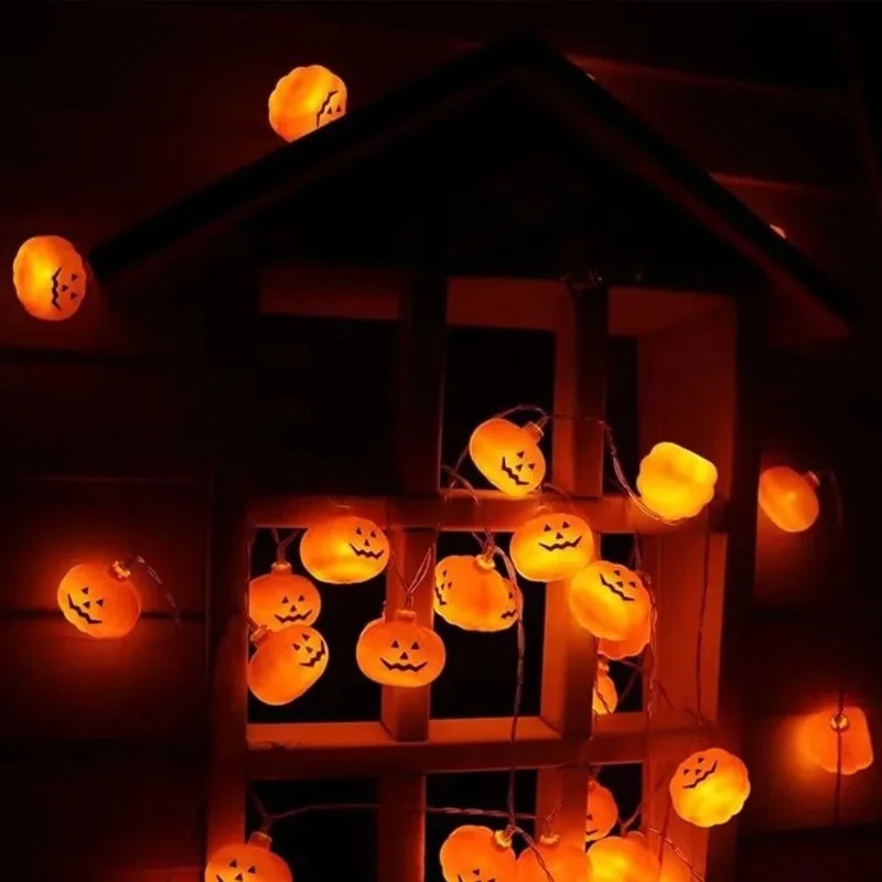 Guirlande de lumières à piles  - Outdoor Lighting Battery Powered avis et prix
